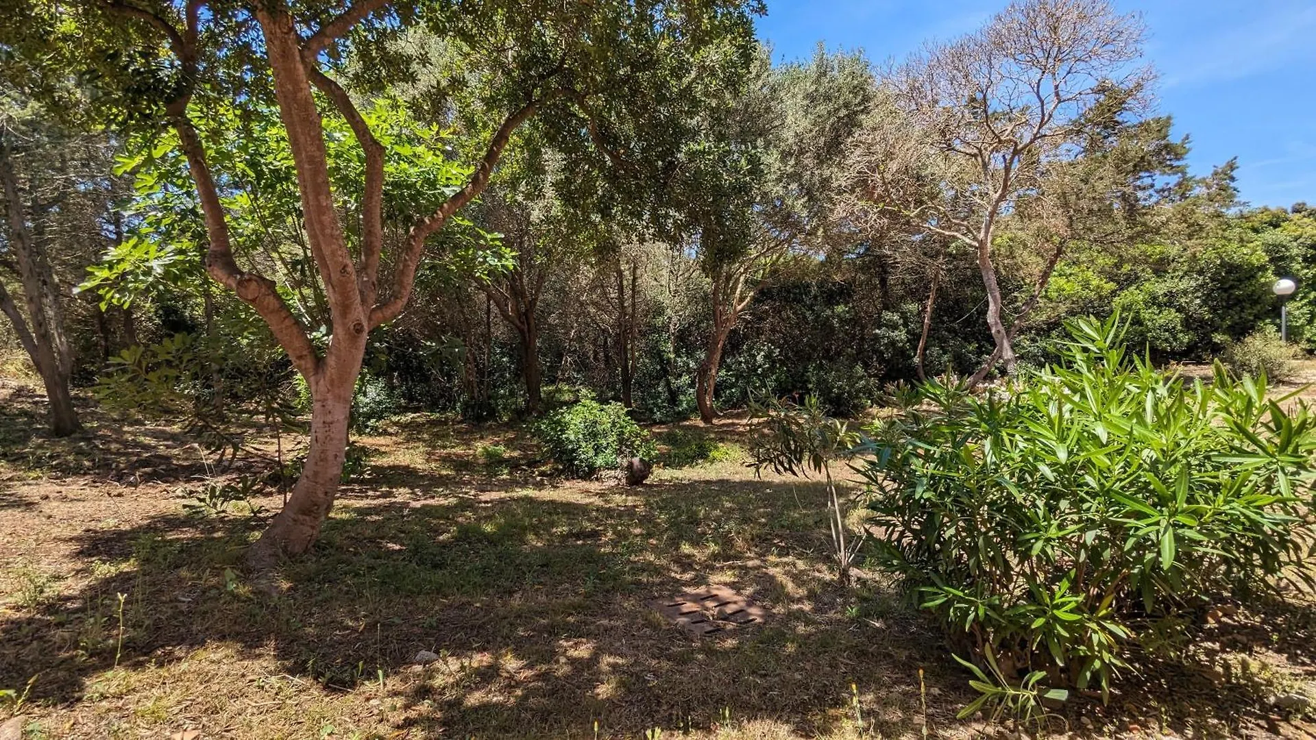 Appartamento Casa Rosmarino Stintino Italia